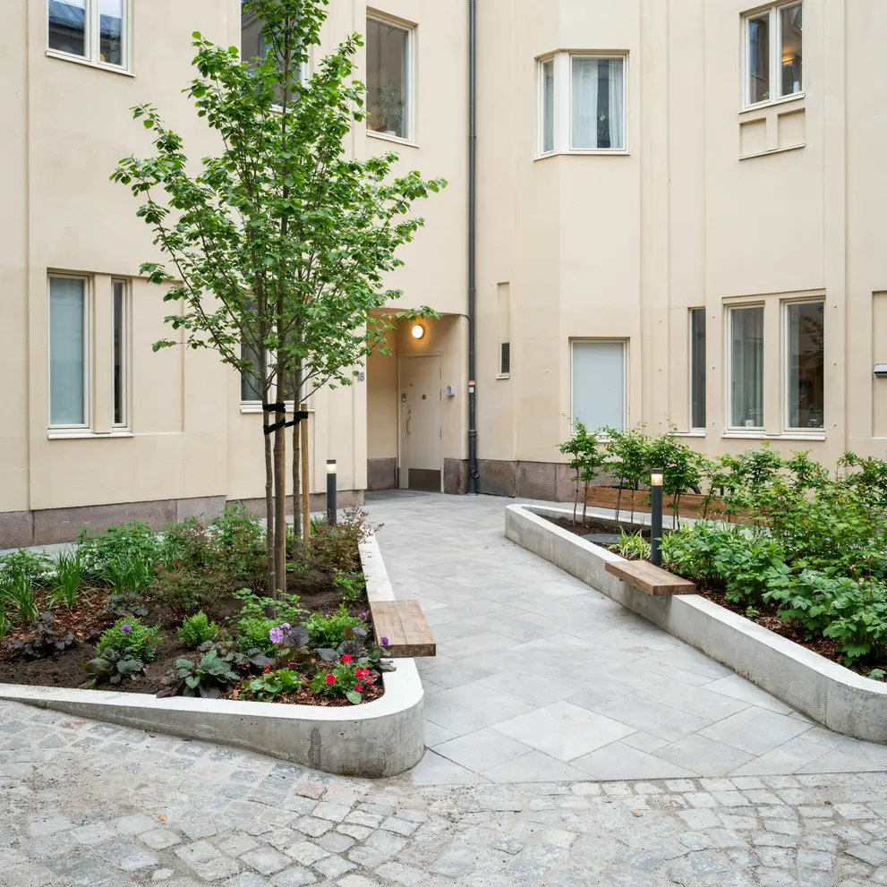gardsrenovering i stockholm